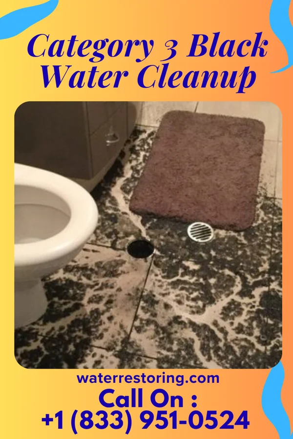 Category 3 Black Water Cleanup in Orwin, PA