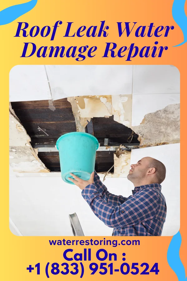Roof Leak Water Damage Repair in Orwin, PA