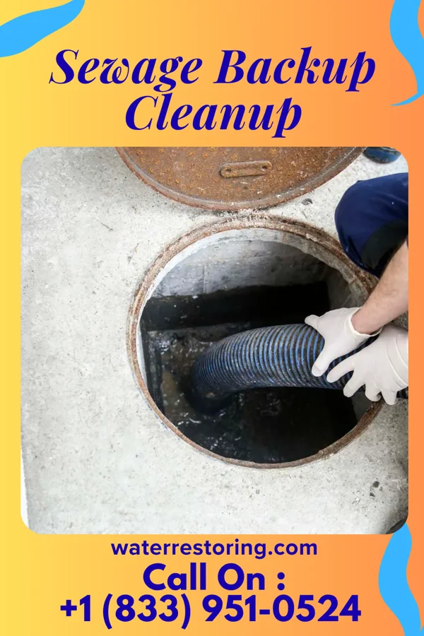 Sewage Backup Cleanup in Orwin, PA