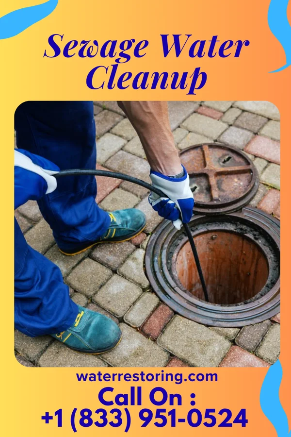 Sewage Water Cleanup in Orwin, PA